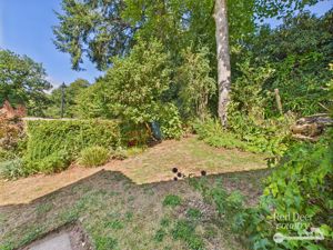 Garden- click for photo gallery